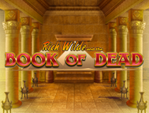 Book of dead Jeu
